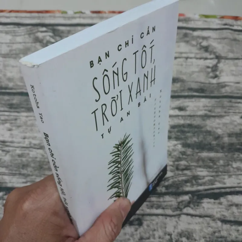 Chỉ cần bạn SỐNG TỐT, TRỜI XANH tự an bài. Tg. Kotoha Yao. 762825