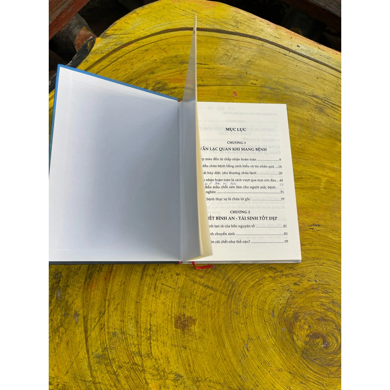 VƯỢT QUA BỆNH TẬT VÀ TỬ SINH BẰNG TRÍ TUỆ- TRONG SUỐT 538247