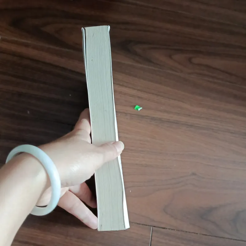 Chúa tể những chiếc nhẫn - đoàn hộ nhẫn 934835