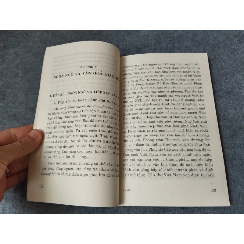 VĂN HOÁ VÀ NGÔN NGỮ GIAO TIẾP CỦA NGƯỜI VIỆT 719892