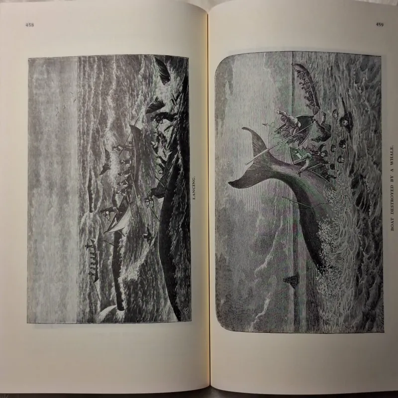 Hermann Melville - Moby Dick (150th Anniversary Edition) 780101