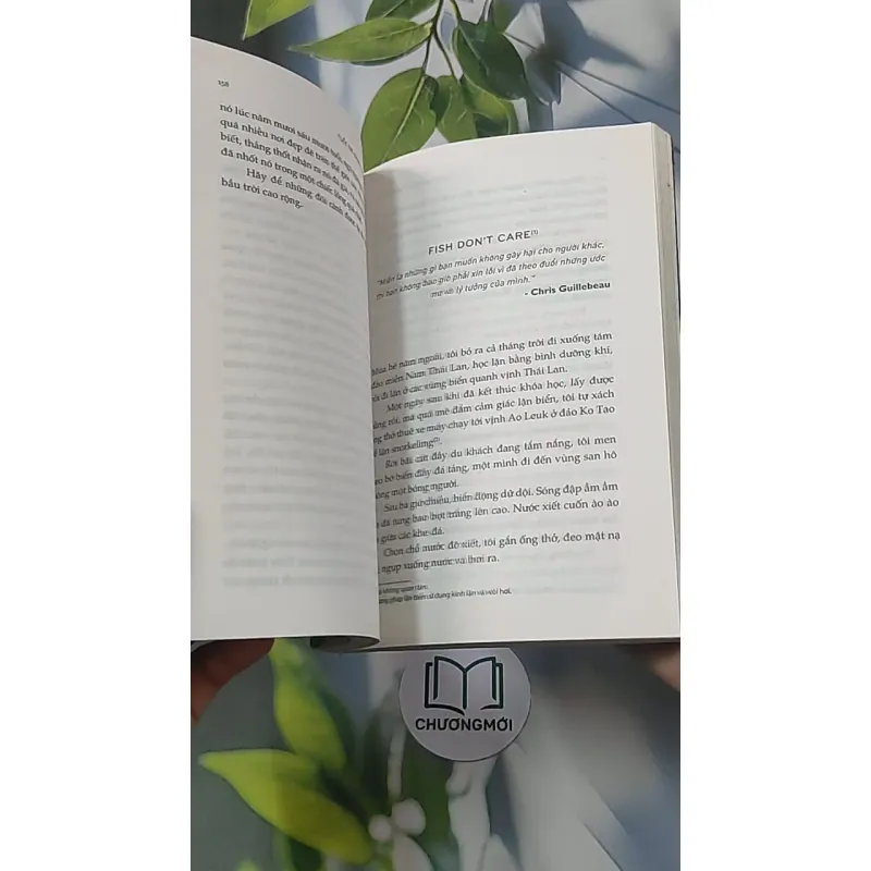 Tuổi trẻ đáng giá bao nhiêu - Rosie Nguyễn 688538