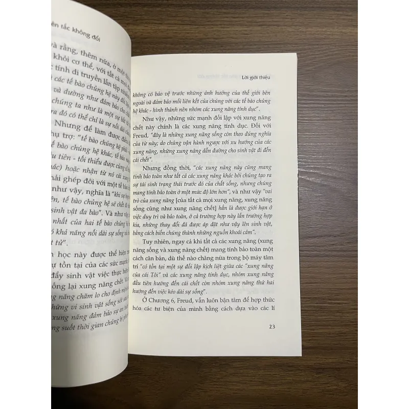 Sâu xa hơn nguyên tắc không đổi - Sigmund Freud 933812