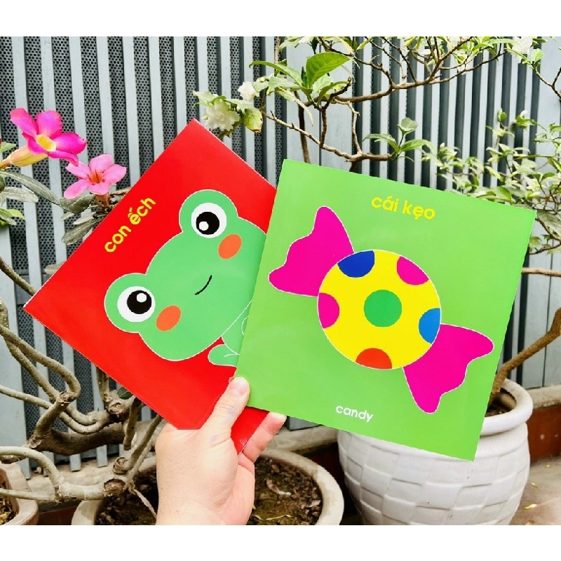 Thẻ Flashcard Kích Thích Thị Giác Cho Trẻ Sơ Sinh 0-1 Tuổi Zic Zắc 531098