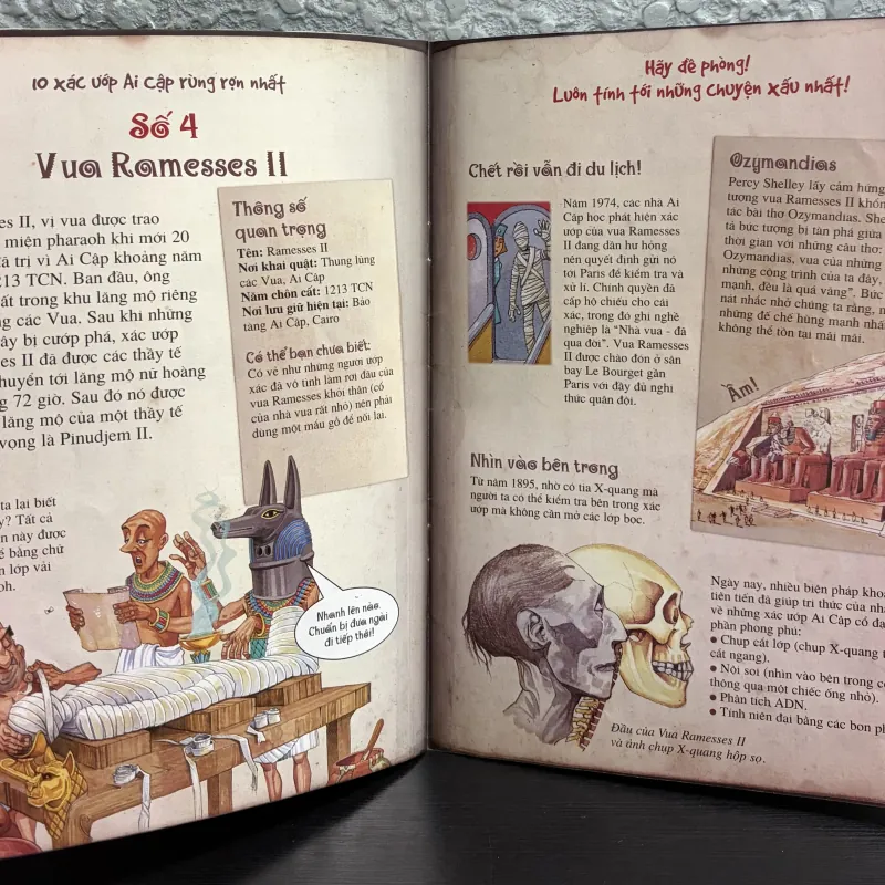 Combo 3 cuốn sách khoa học cho bé mê khám phá 926082