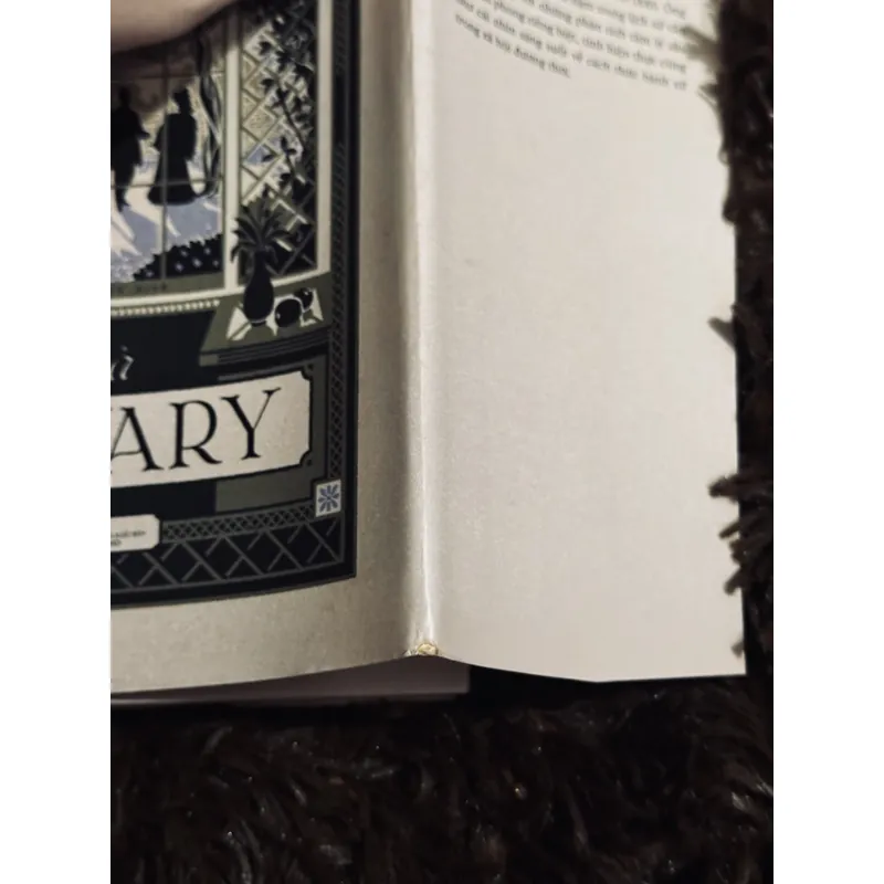 Bà Bovary (bìa cứng) 717559