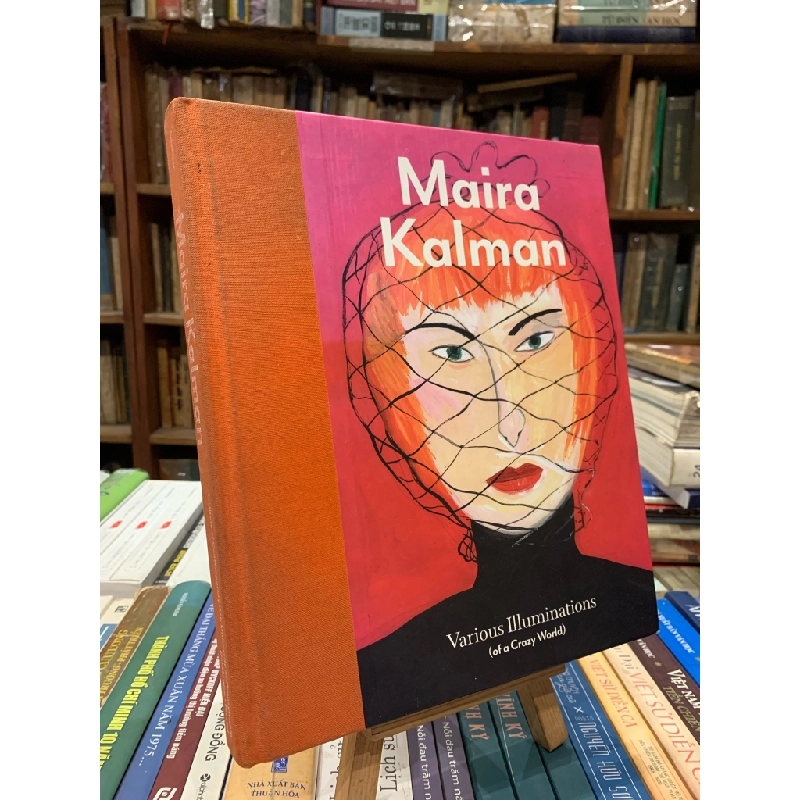 MAIRA KALMAN: VARIOUS ILLUMIATIONS (OF A CRAZY WORLD) 201808