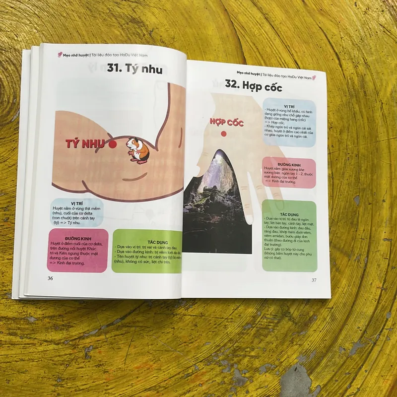 MẸO NHỚ HUYỆT- (8)-thạc sĩ Nguyễn thị Hải duy  605152