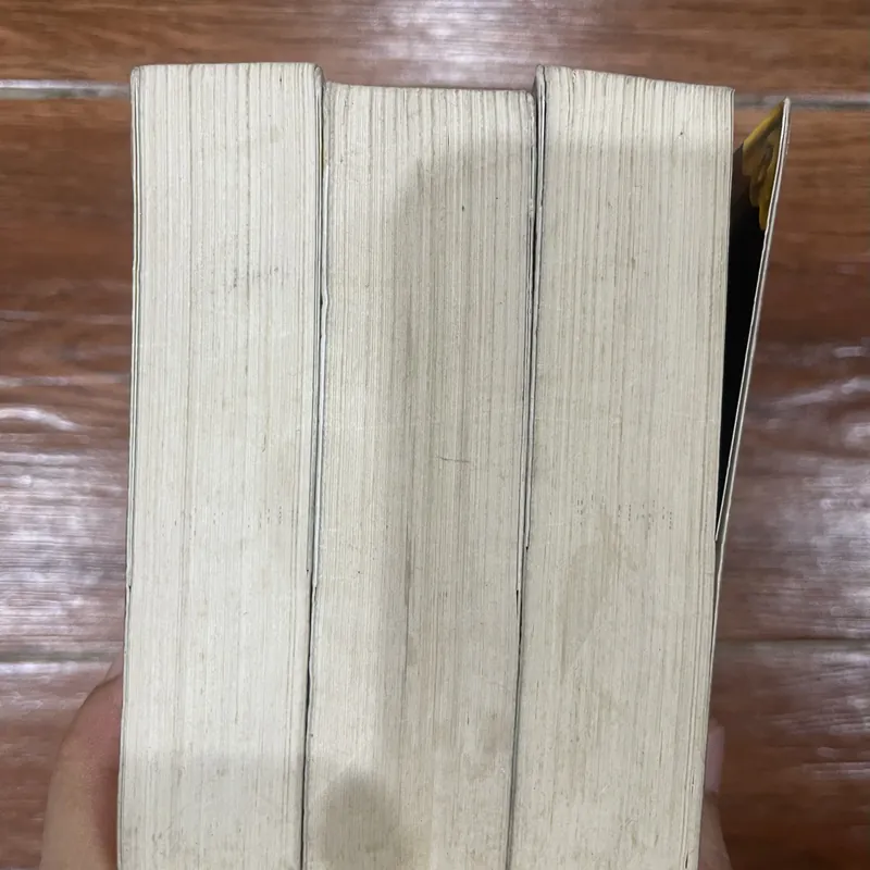 Pháp Thuật - Kinh Công - Y Thuật  Septimus Heap - Angie Sage - 3 tập (4) 596449