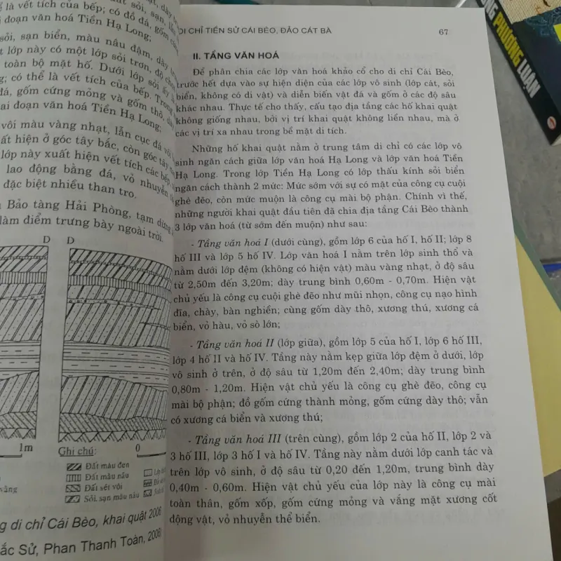 DI CHỈ TIỀN SỬ CÁI BÈO, ĐẢO CÁT BÀ - NGUYỄN KHẮC SỬ 789317
