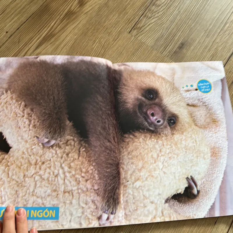 125 loài động vật đáng yêu - sách in màu đẹp cho bé 639924