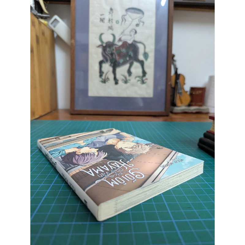 Truyện tranh gối ôm của nhà văn Hayama - Mochi Nomori 533460