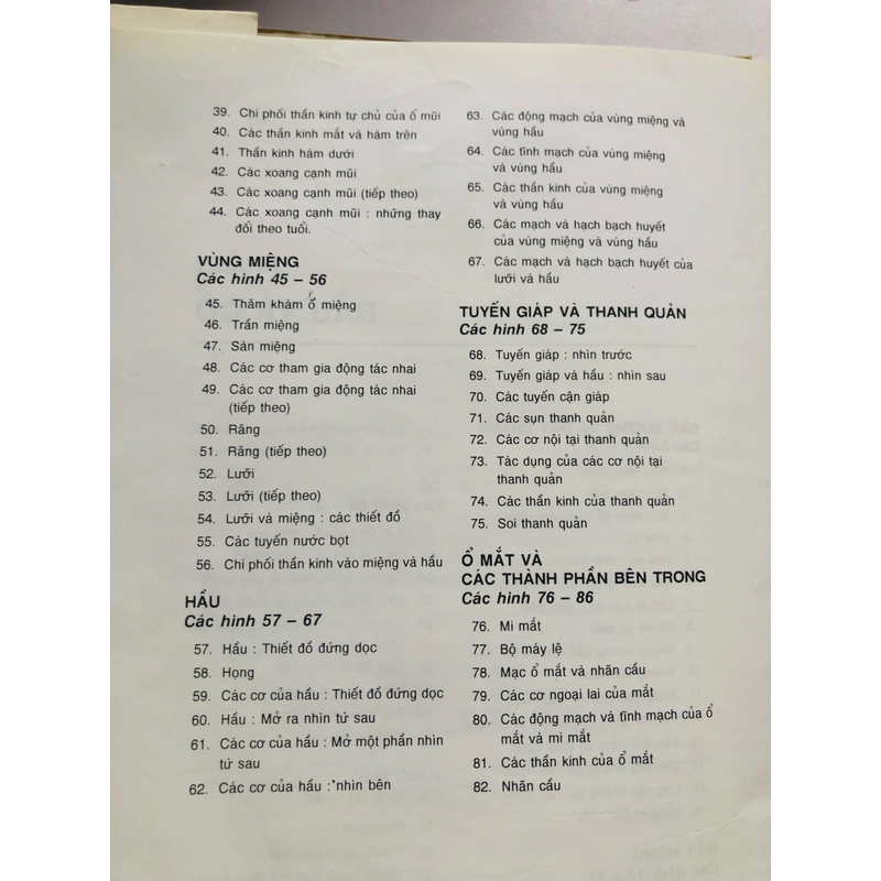2. ATLAS GIẢI PHẪU NGƯỜI  470949