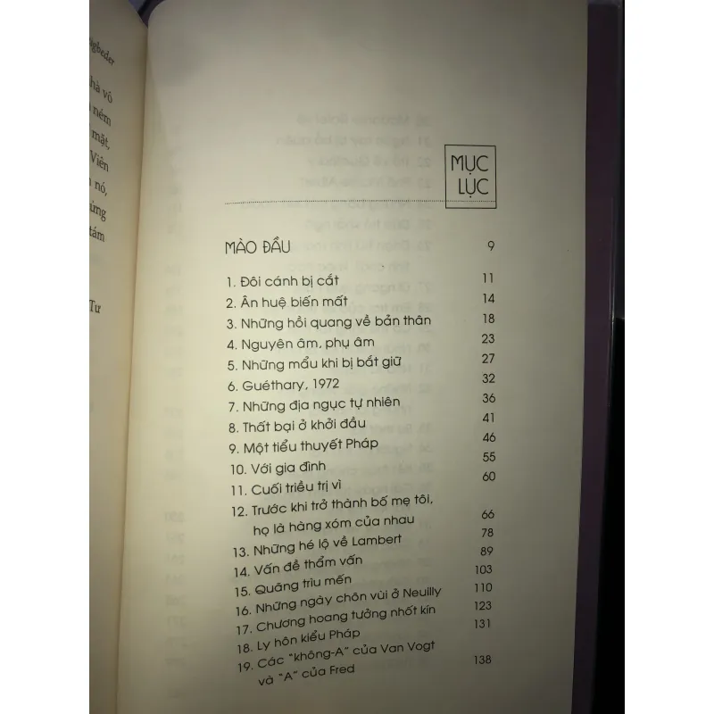 Một tiểu thuyết pháp - Frédéric Beigbeder  1021384