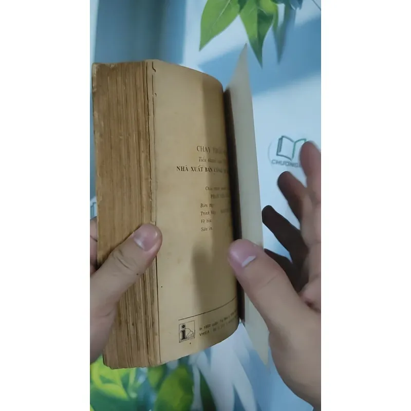 [XƯA] Chạy Trốn Tình Yêu (1993) - Triệu Huấn 798512