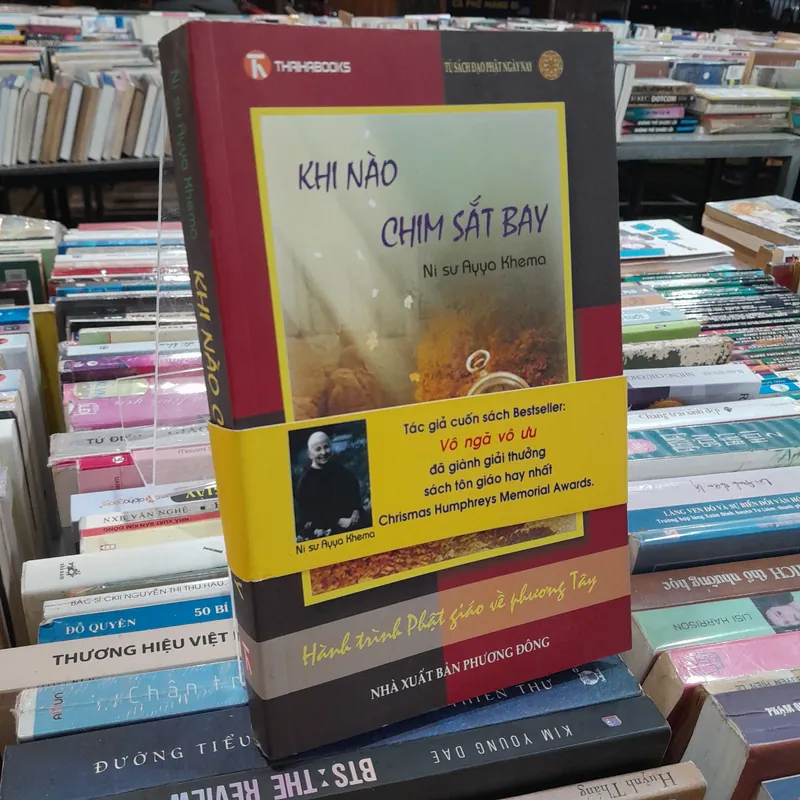 KHI NÀO CHIM SẮT BAY - AYYA KHEMA 732127