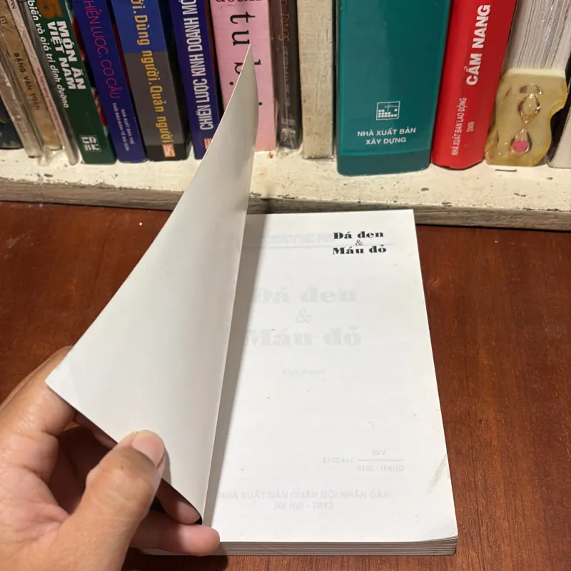 II Tiểu Thuyết: Đá Đen Và Máu Đỏ - Cao Tuyết Minh - 2013 785653