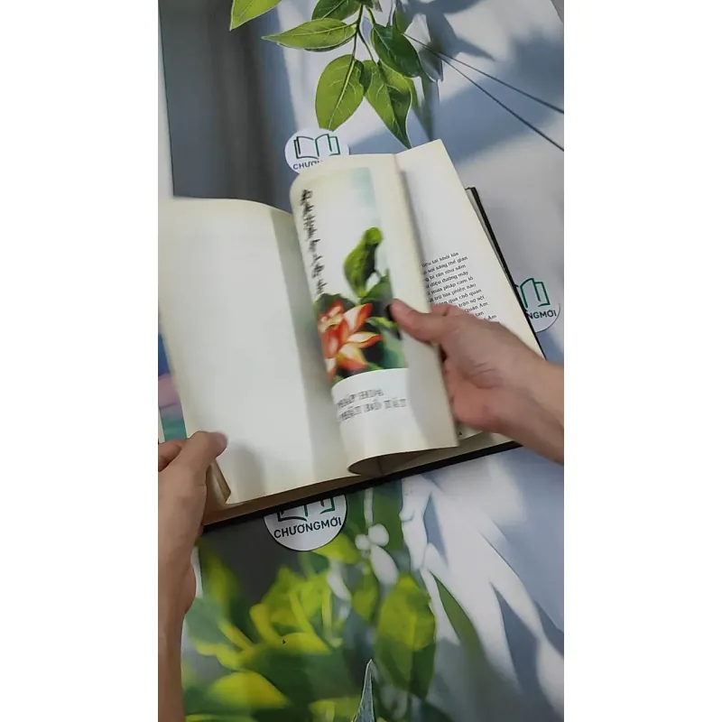 Phổ Môn Phẩm (họa tập) 750745