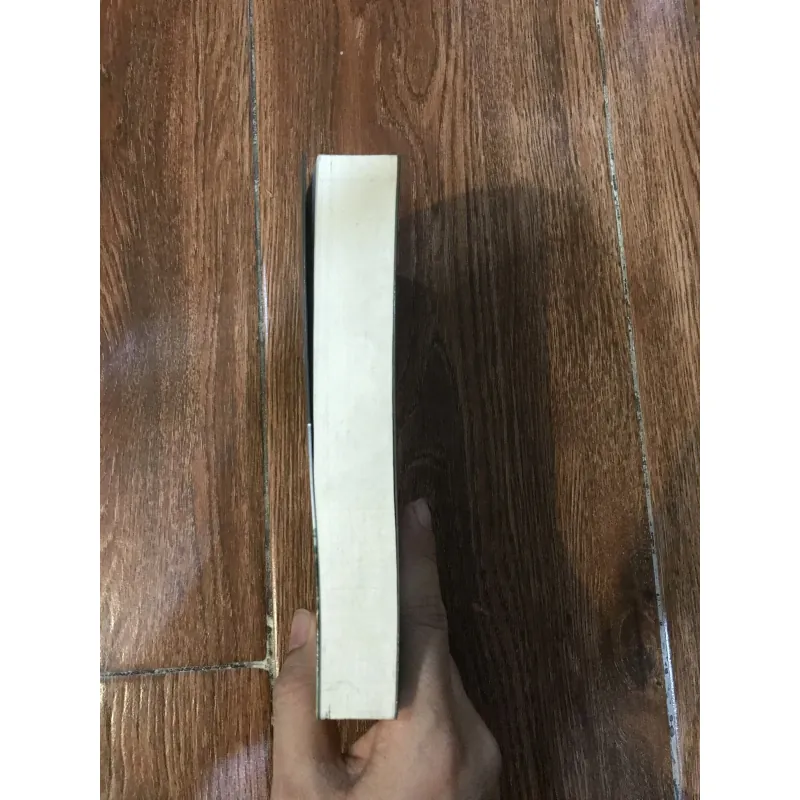 Từ mỹ học đến các loại hình nghệ thuật - Denis Diderot (t4) 1012832