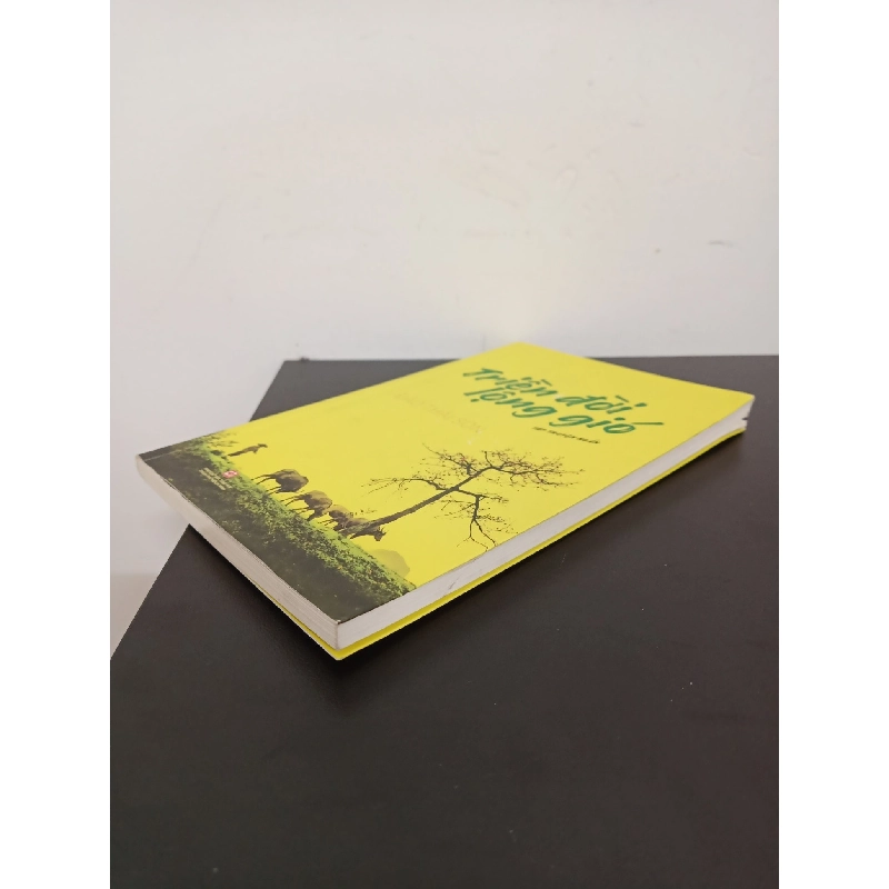 Triền Đời Lộng Gió (2020) - Đào Thái Sơn Mới 90% HCM.ASB1803 913796