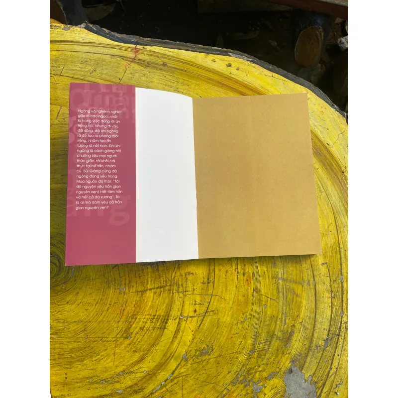 COMBO CÓ 500 NĂM NHƯ THẾ & CÁ TÍNH QUẢNG 728571