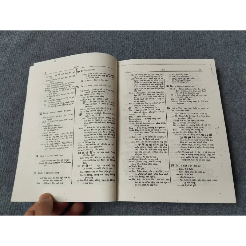 ĐẠI NAM QUỐC ÂM TỰ VỊ 729315