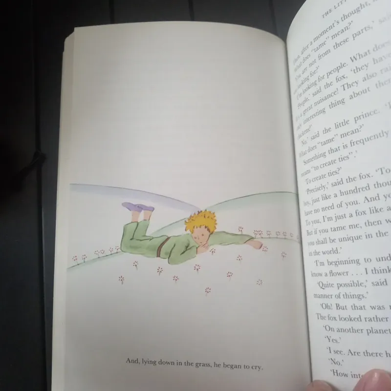 Sách Hoảng tử bé bản tiếng Anh 926721