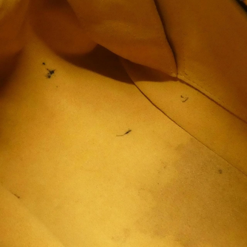 Túi đeo vai Louis Vuitton Monogram Denim XS M95608 - Hàng hiệu Chính hãng 802015