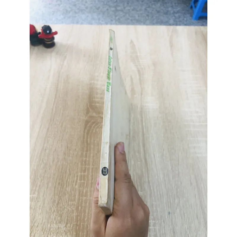 Lotus-Flower Cave Chuyển thể từ Journey to the West (Tây Du Ký) –m 935066