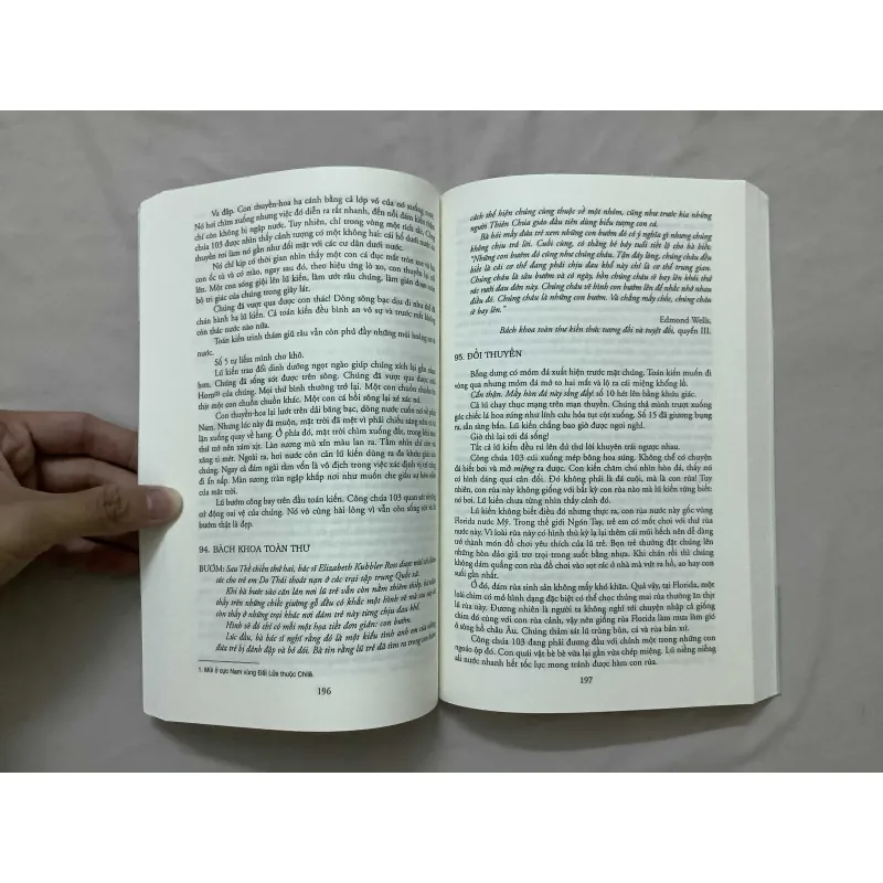 Kiến - Cách Mạng Kiến 595716