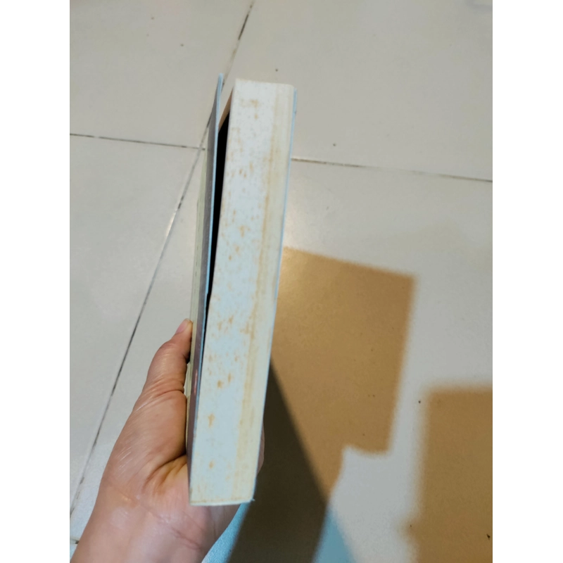 Dịch và nghiên cứu kim vân kiều lục 537975