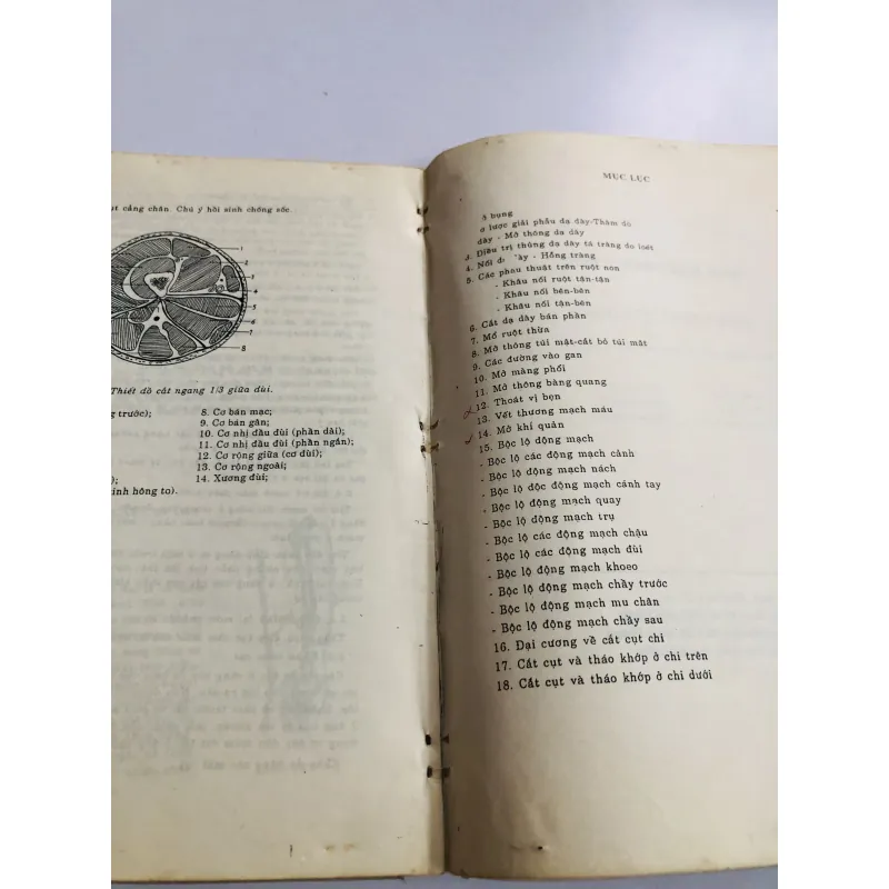 PHẪU THUẬT THỰC HÀNH  780449