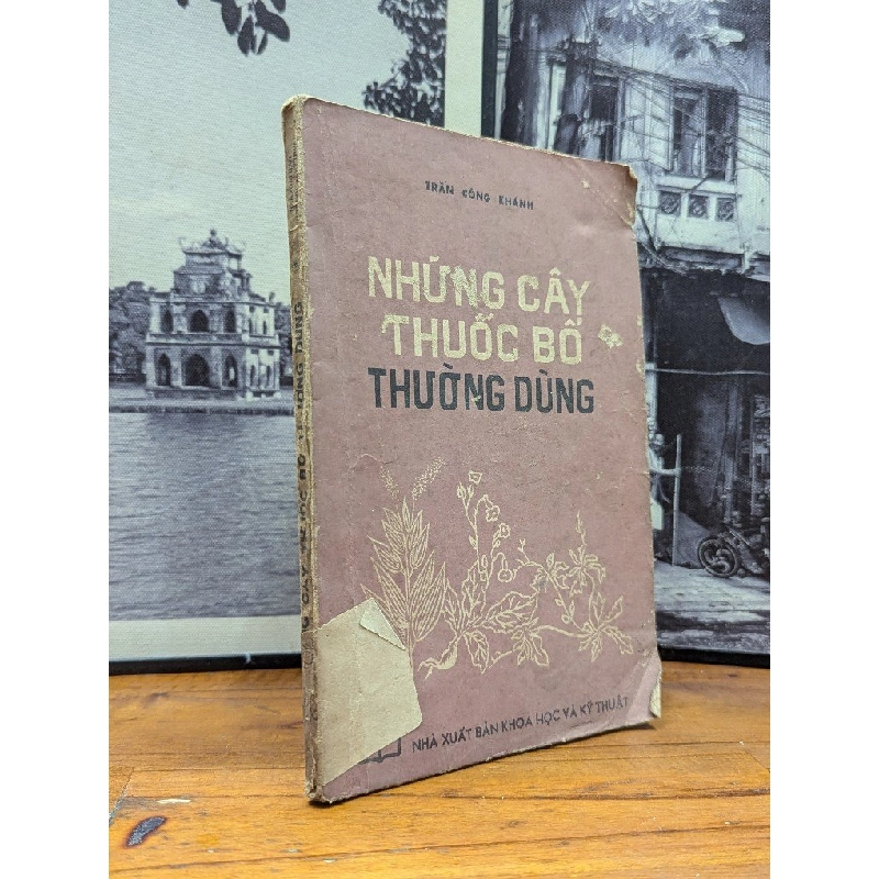 NHỮNG CÂY THUỐC BỔ THƯỜNG DÙNG - TRẦN CÔNG KHÁNH 165551