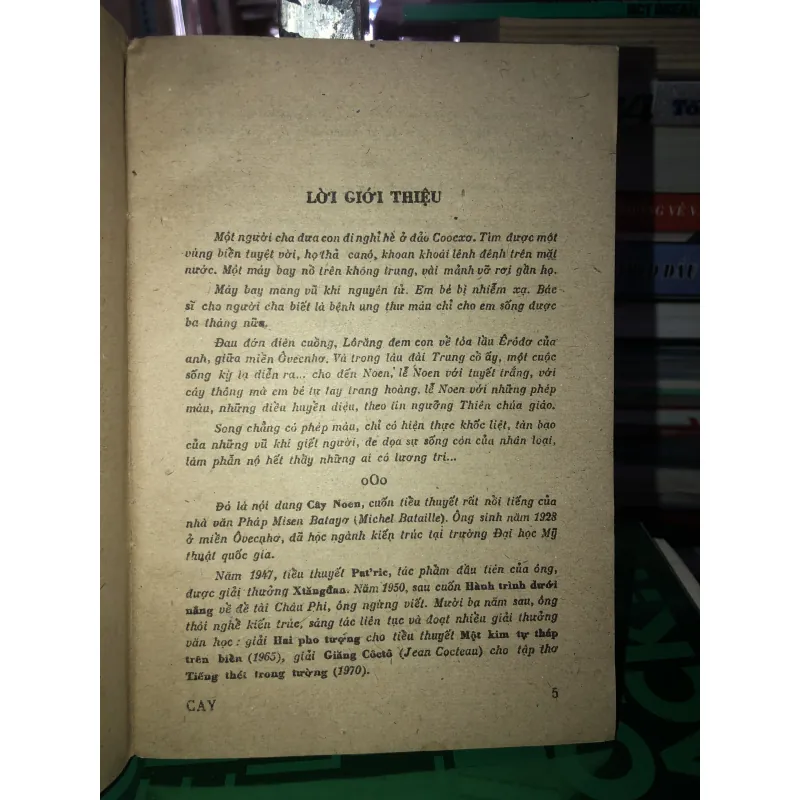 Cây noel - Misen Batayơ 785860