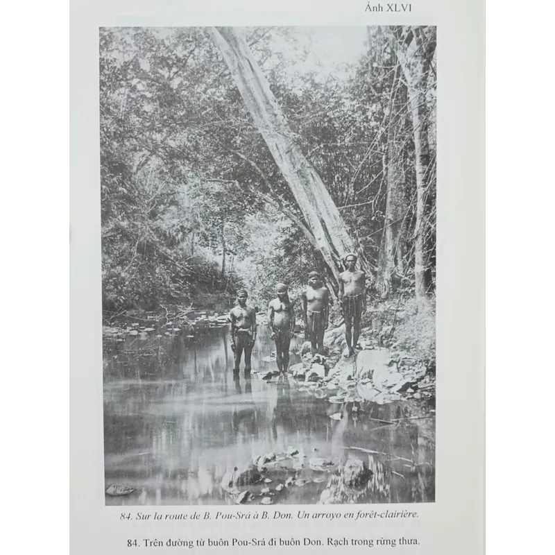 Rừng người Thượng (Henry Maitre) 662512