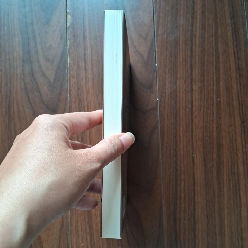 Siêu trộm hào hoa 504967