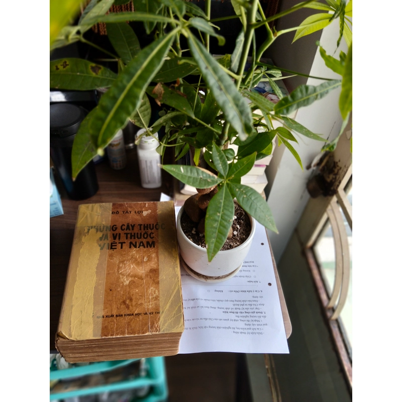 Cây thuốc và vị thuốc Việt Nam (Lương y Đỗ Tất Lợi, 1981) 508462