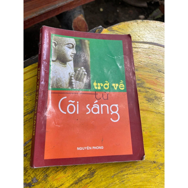 Trở về từ cõi sáng- nguyên phong 476396