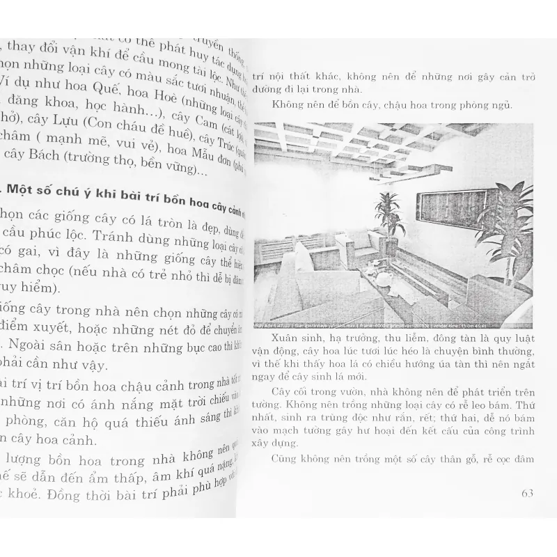 Thực hành phong thủy 22227