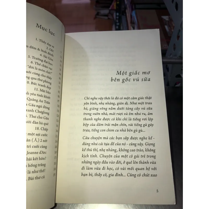 Giấc mơ bên gốc vú sữa - Nguyễn Thị Mạnh Hà 1011384
