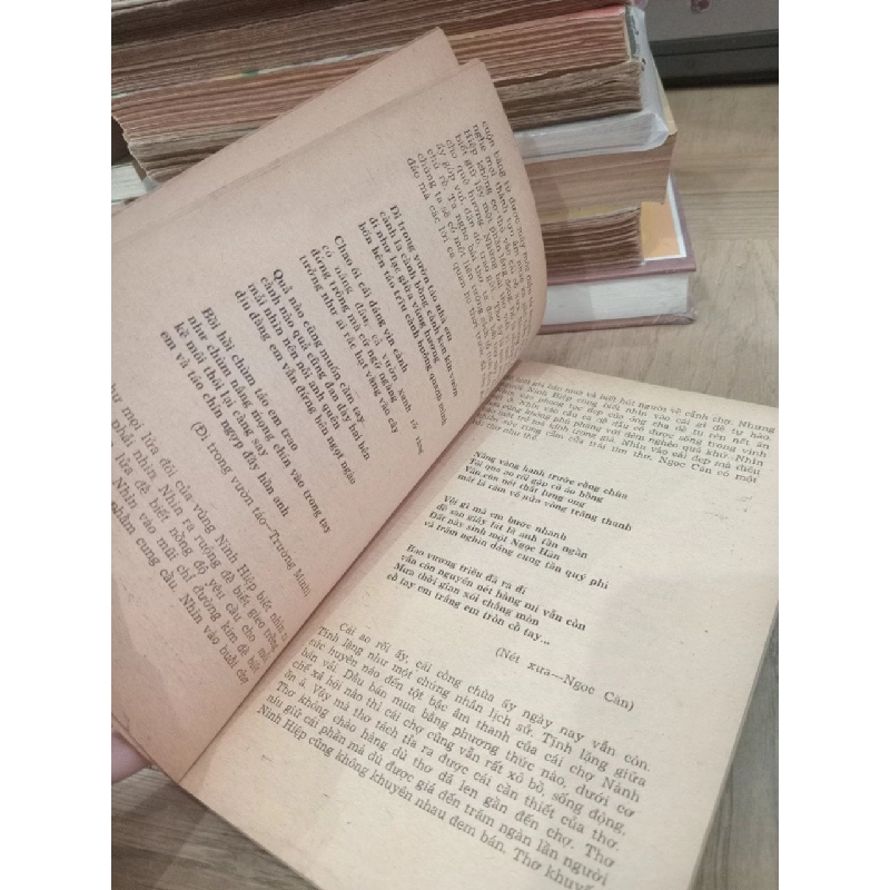 Quả chín trong vườn 783641