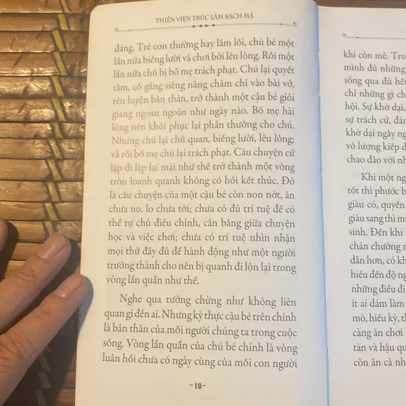 Trí Tuệ - HT Thích Tâm Hạnh - Thiền Viện Trúc Lâm Bạch Mã 604123
