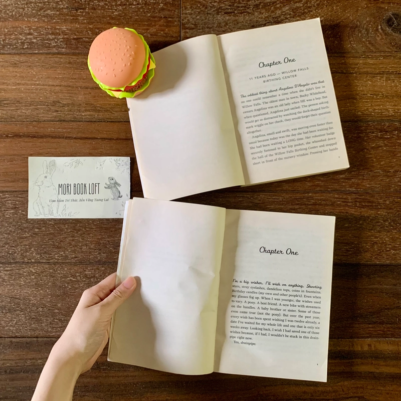 Sách ngoại văn Series Willow Falls: 11 Birthdays & Finally, Used, Lẻ cuốn 538083