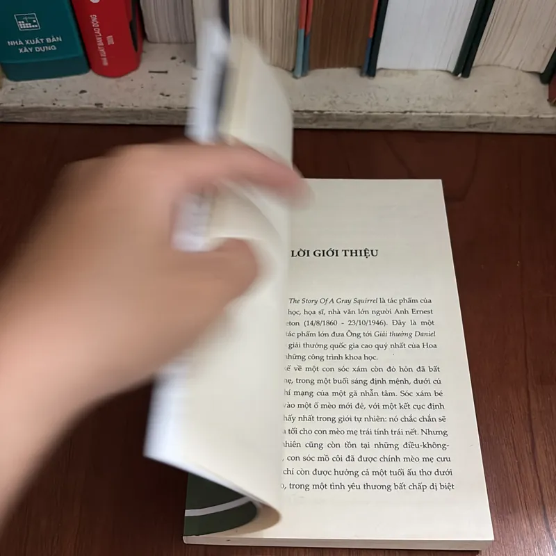 Văn Học Thiếu Nhi: Bông _ Chuyện Đời Con Sóc Xám - Ernest Thompson Seton - ROGER VU (Dịch) 709239