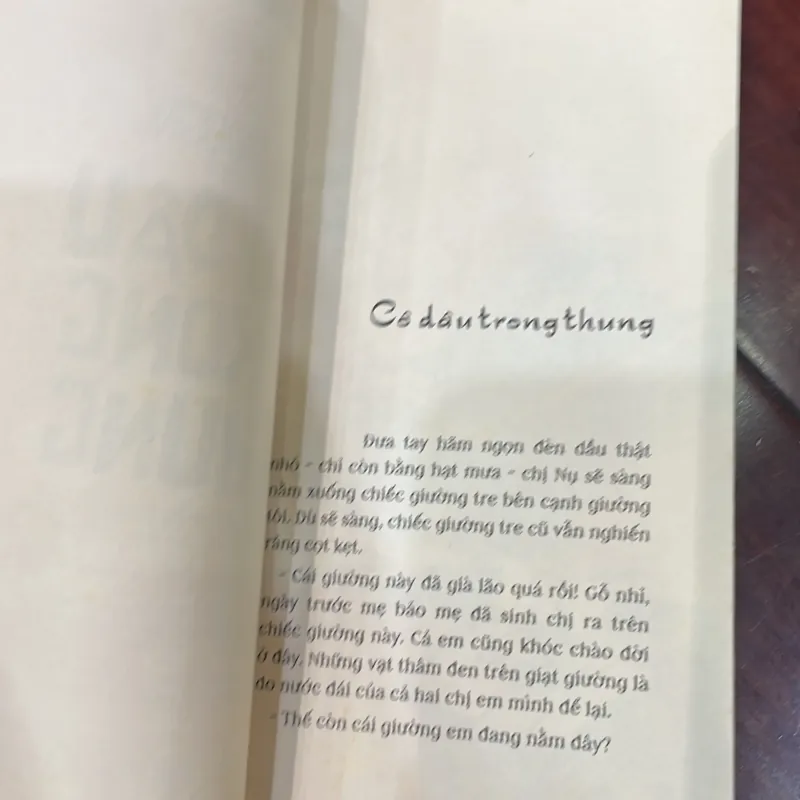 Tuyển truyện hay dành cho thiếu nhi - Viễn Dương - Cô dâu trong thung - 2013 1036209
