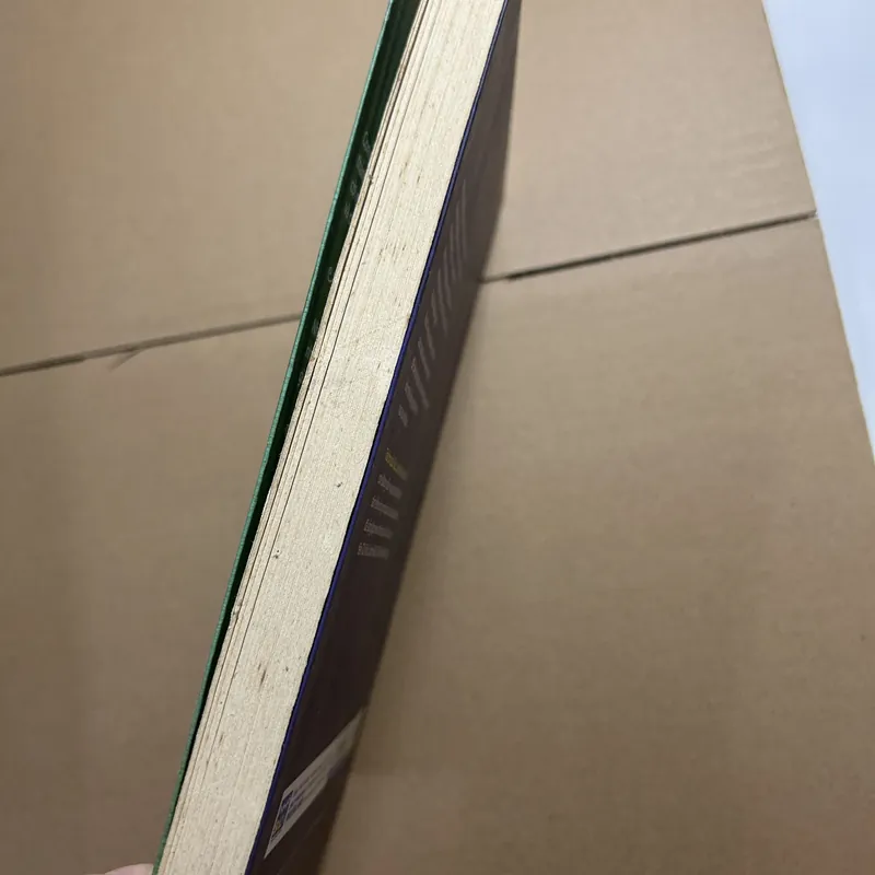 Trái tim của Trúc Lâm Đại Sĩ 570504