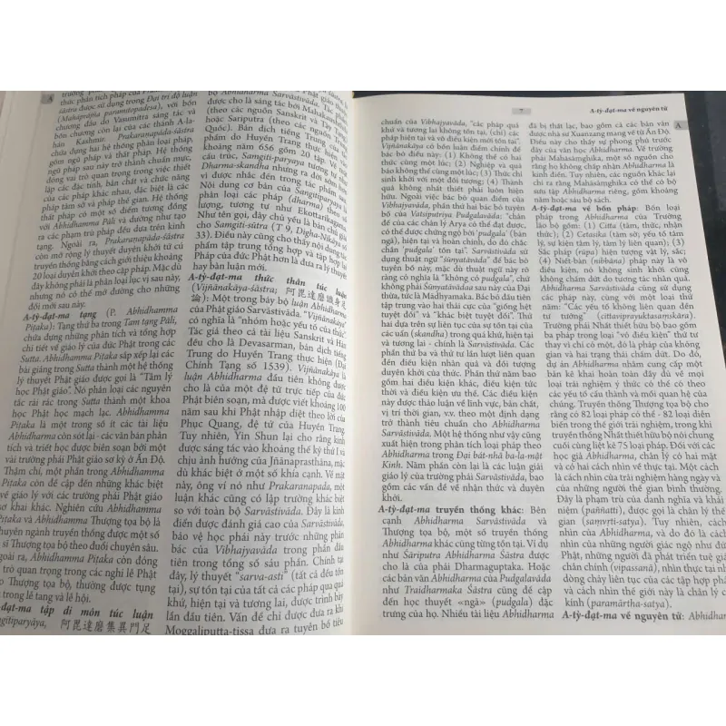 Từ Điển Kim Cương Thừa Và Tây Tạng Học 704372