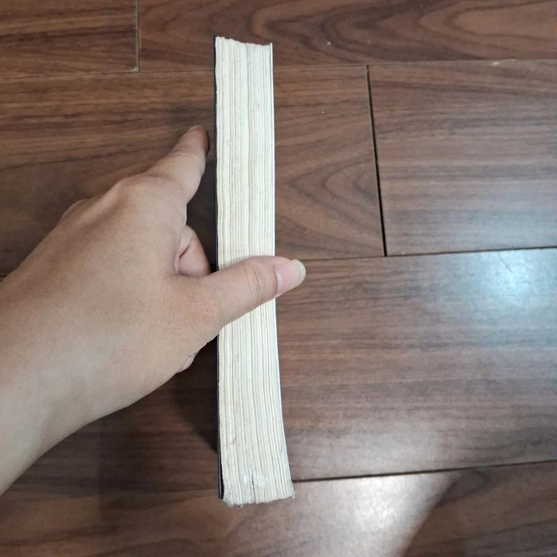 Năm câu chuyện tình 506758