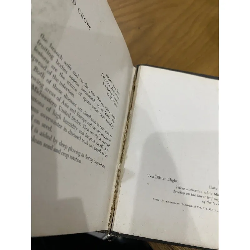 Compendium of Plant Diseases 562687