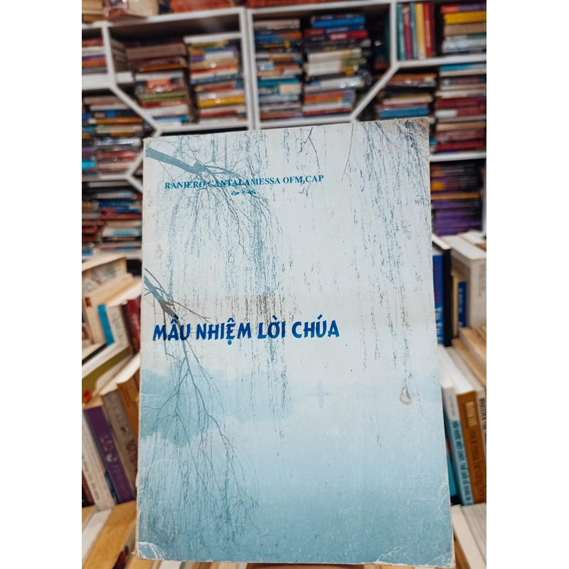 Mầu Nhiệm Lời Chúa 🌻 517554